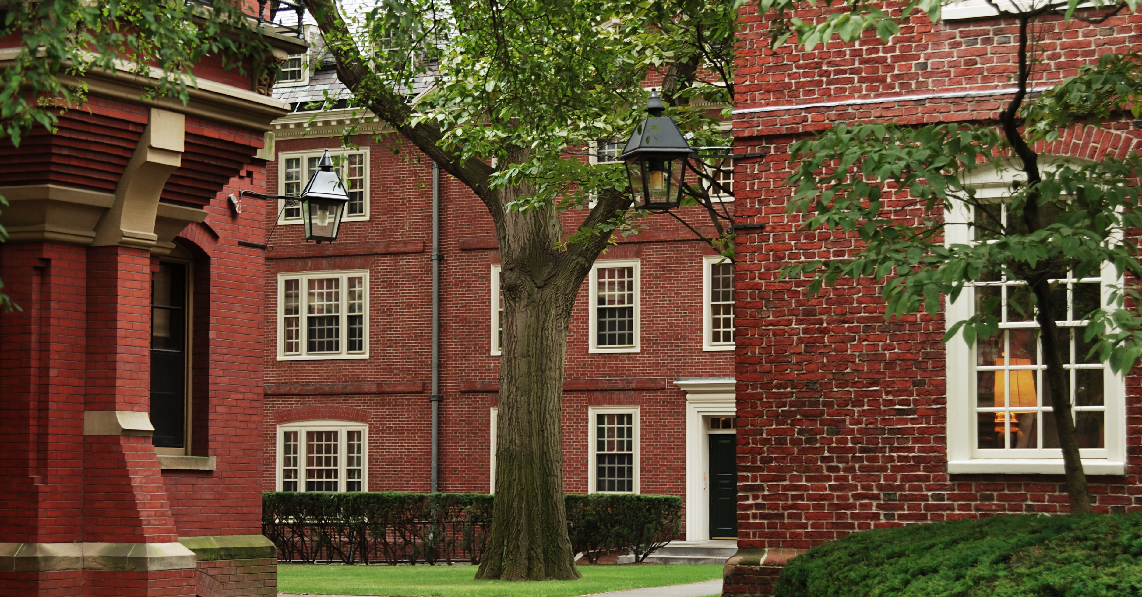 University Building Background